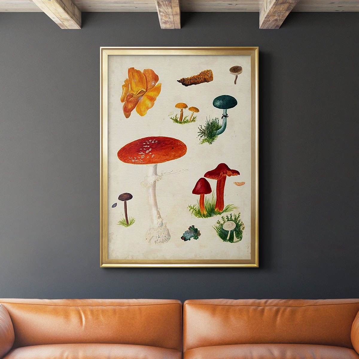 Mushroom Species VIII - Modern Framed Canvas Print