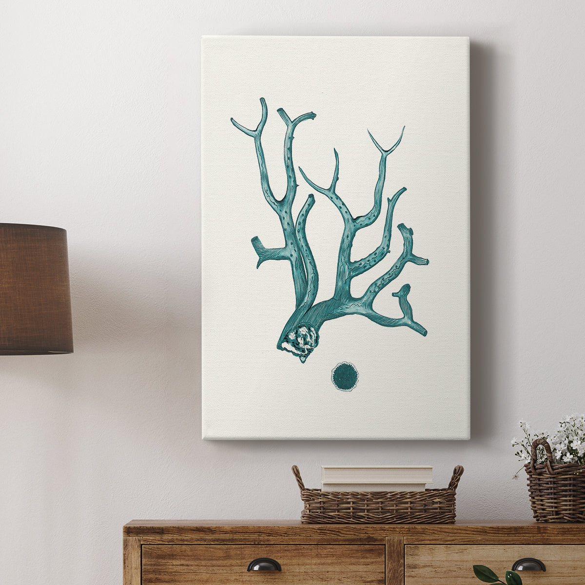 Antique Coastal Coral IX - Canvas Art Print