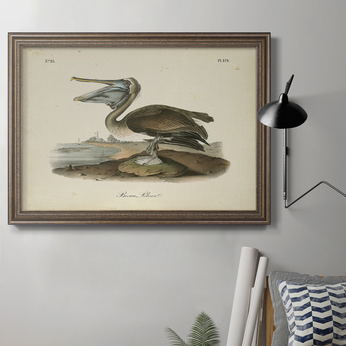 Audubons Brown Pelican - Ornate Framed Canvas Print