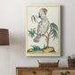 Red-Crested Cockatoo, 1771-1775 - Canvas Art Print