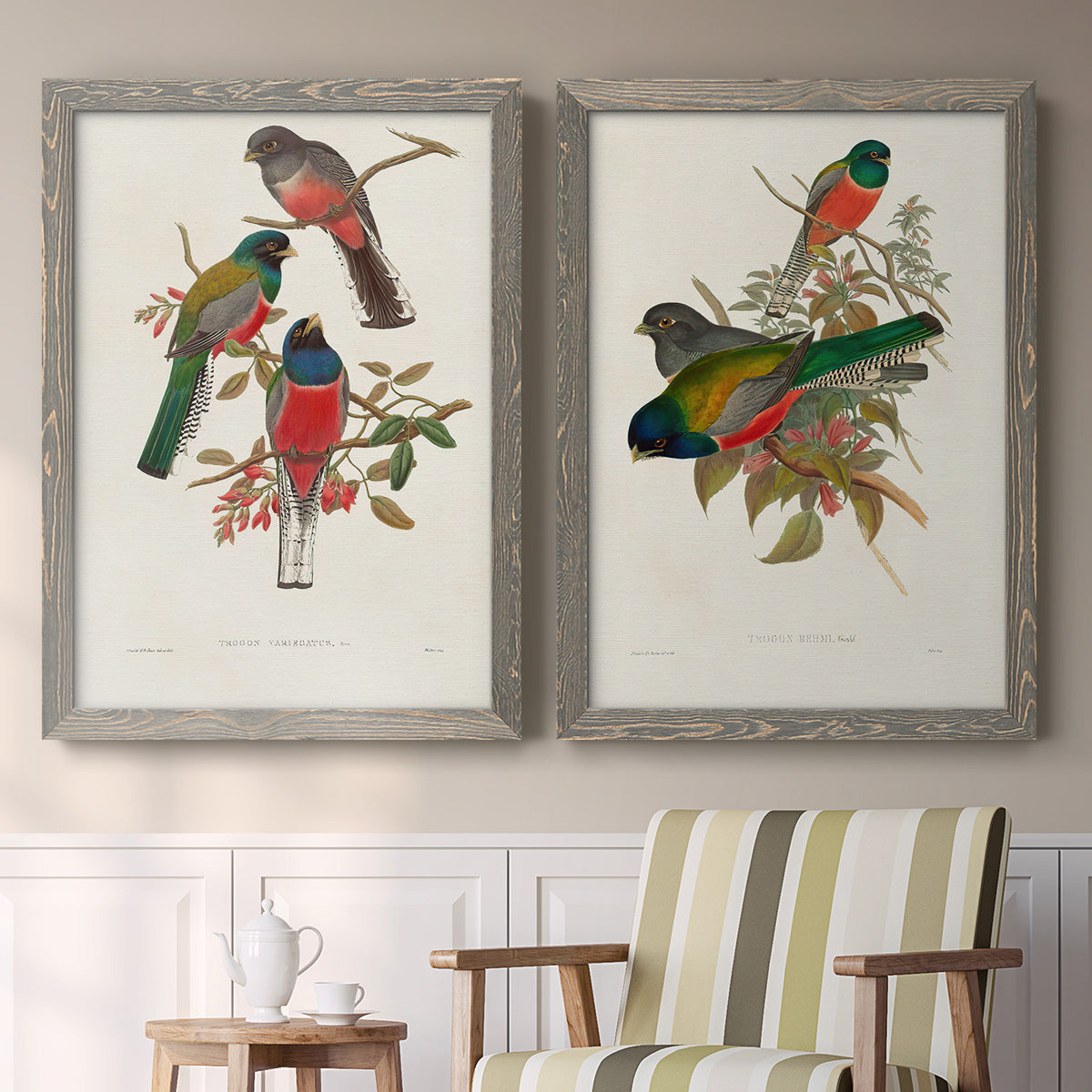 Elegant Trogons IX - Premium Framed Canvas 2 Piece Set - Ready to Hang