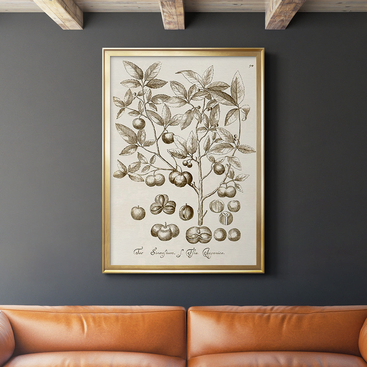 Sepia Botanical Journal II - Modern Framed Canvas Print