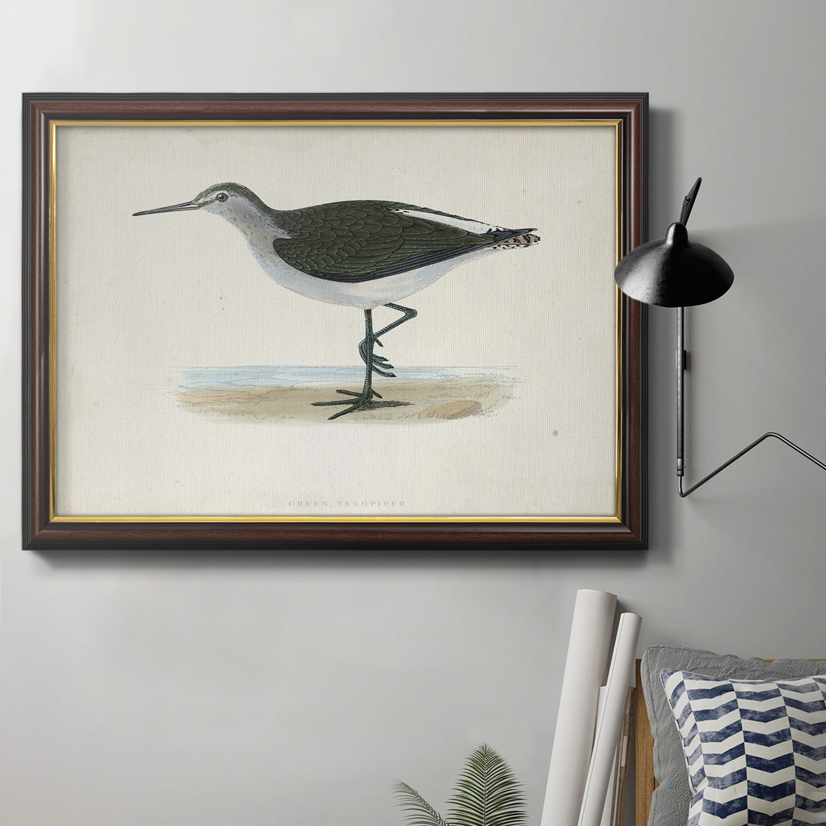 Morris Sandpipers VI Premium Framed Canvas- Ready to Hang