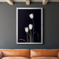 Tulip Pose III - Modern Framed Canvas Print
