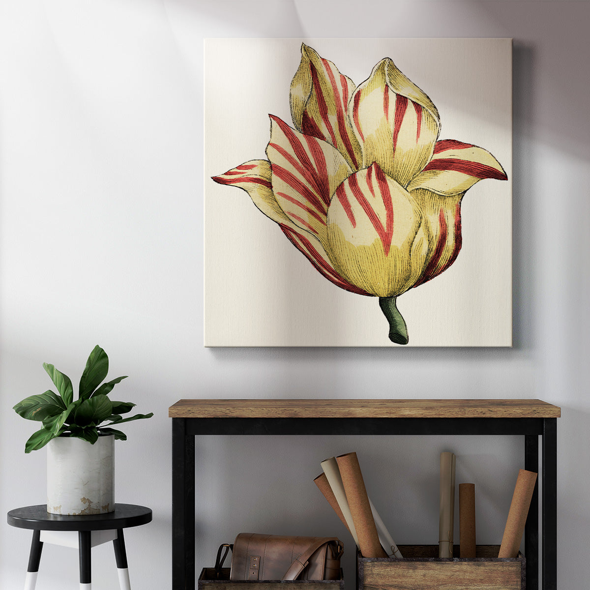 Tulip Garden III - Canvas Art Print