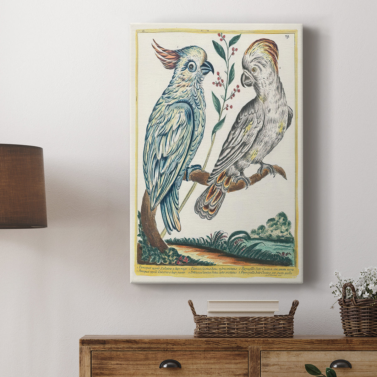 Red-Lipped and Yellow-Crested Cockatoos, 1771-1775 - Canvas Art Print