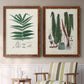 Set of two maple barnwood framed canvas prints depicting two natural-history fern plates featuring vintage fern specimens with botanical details above a sideboard in a cozy sitting room.