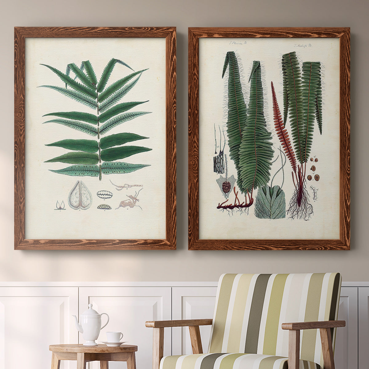 Set of two maple barnwood framed canvas prints depicting two natural-history fern plates featuring vintage fern specimens with botanical details above a sideboard in a cozy sitting room.