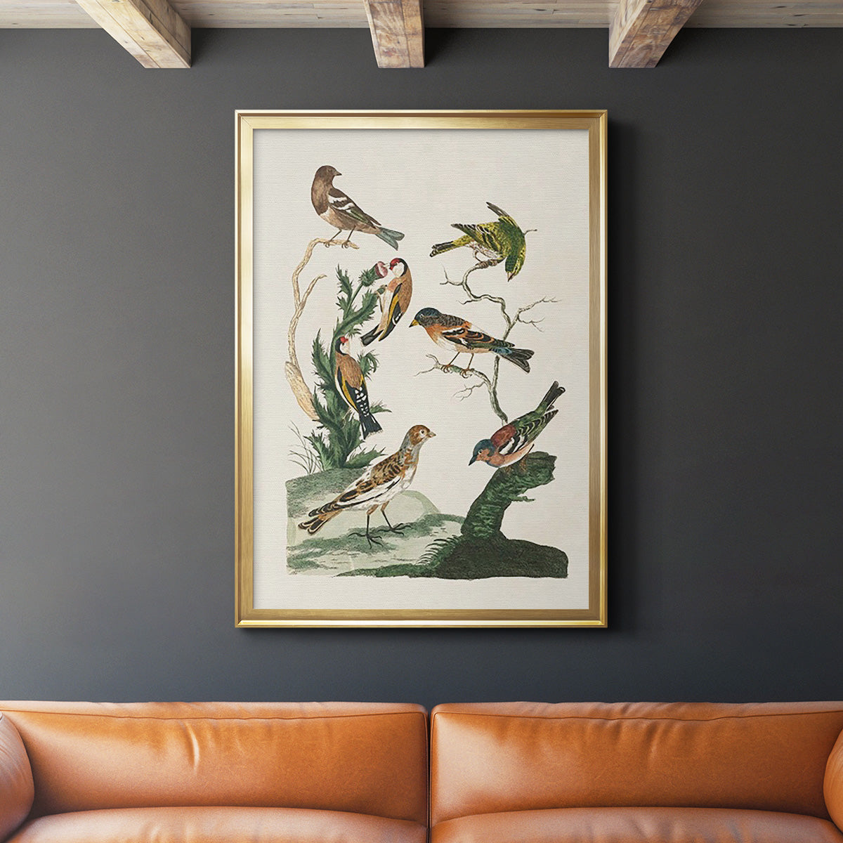 Antique Birds in Nature I - Modern Framed Canvas Print