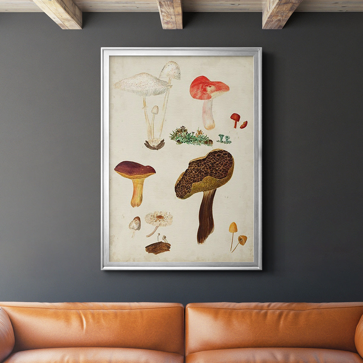 Mushroom Species XI - Modern Framed Canvas Print