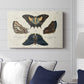 Crackled Butterflies IV - Canvas Art Print
