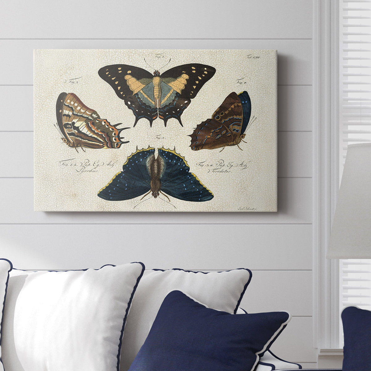 Crackled Butterflies IV - Canvas Art Print
