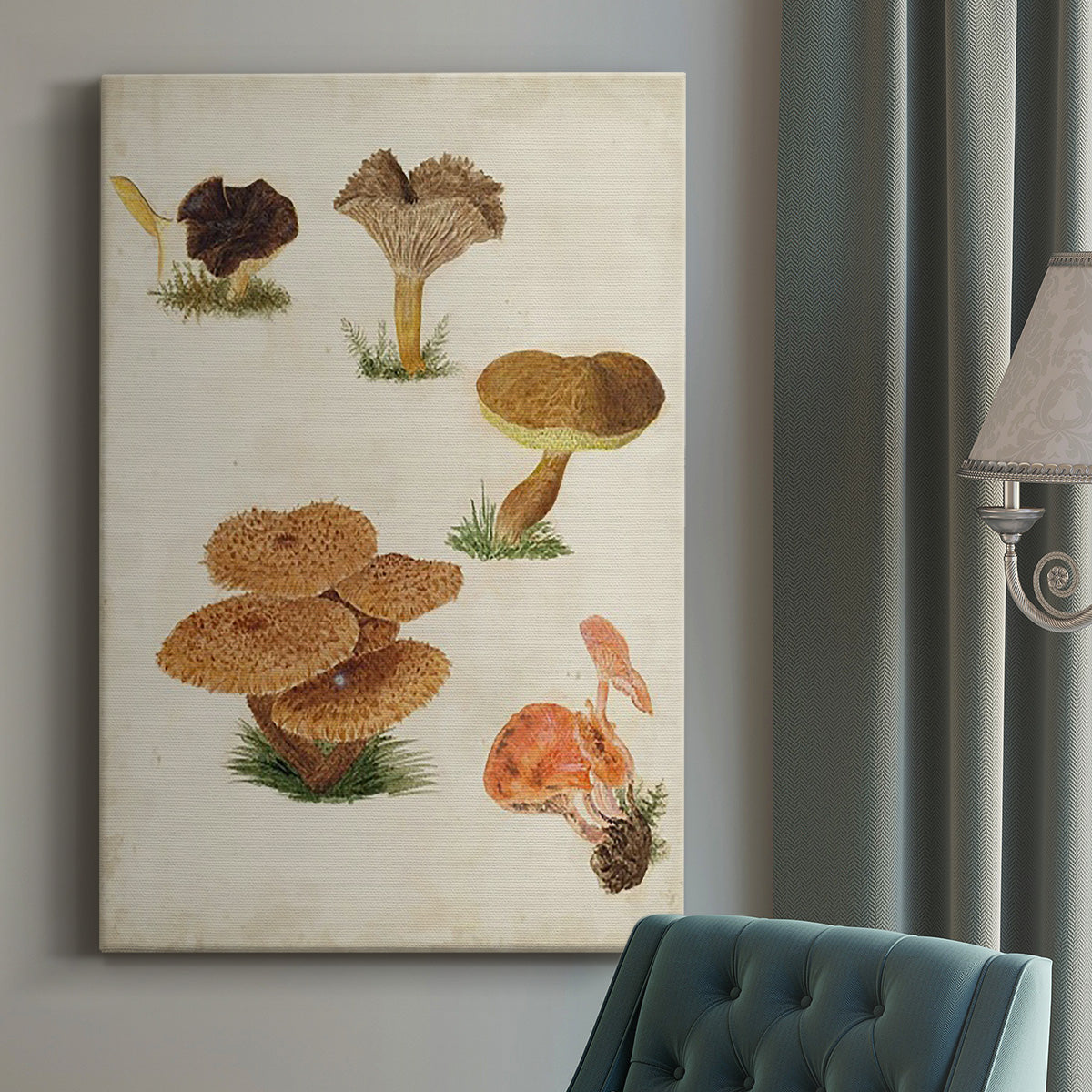 Mushroom Species V - Canvas Art Print