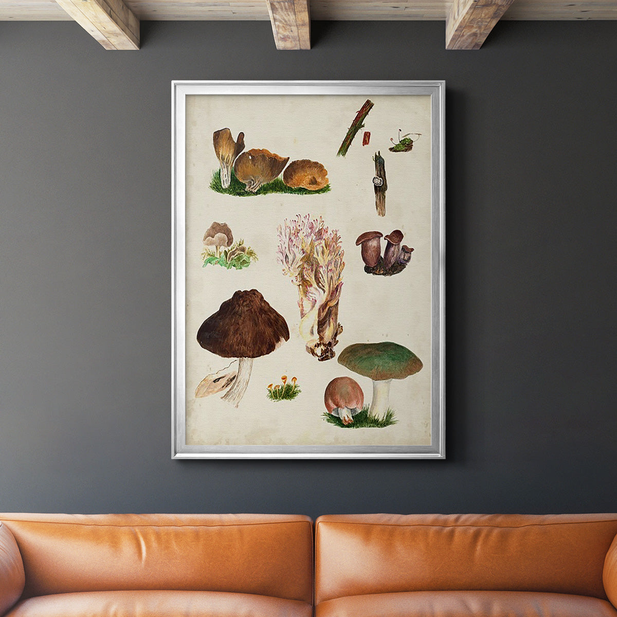 Mushroom Species IX - Modern Framed Canvas Print