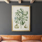 Buchoz Tropicals IX - Modern Framed Canvas Print