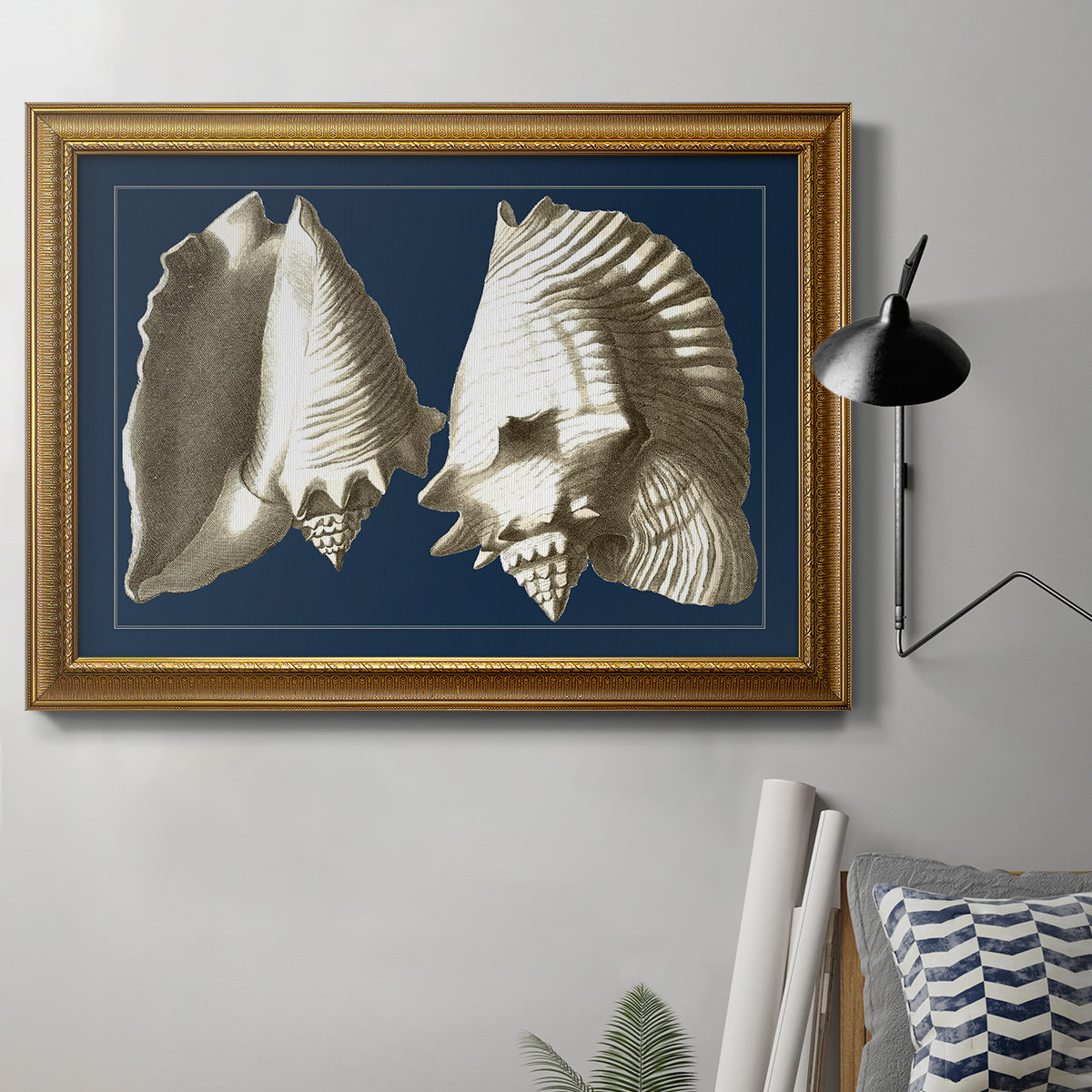 Conch Shells on Navy I Premium Framed Canvas- Ready to Hang