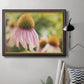 Echinacea Study II Premium Framed Canvas- Ready to Hang