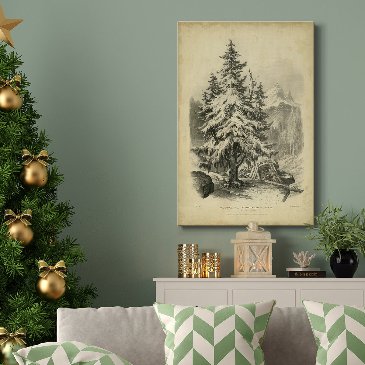 The Spruce - Gallery Wrapped Canvas