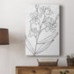 Botanical Sketch I - Canvas Art Print