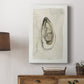 Soft Half Shell I - Canvas Art Print