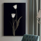 Tulip Pose II - Canvas Art Print