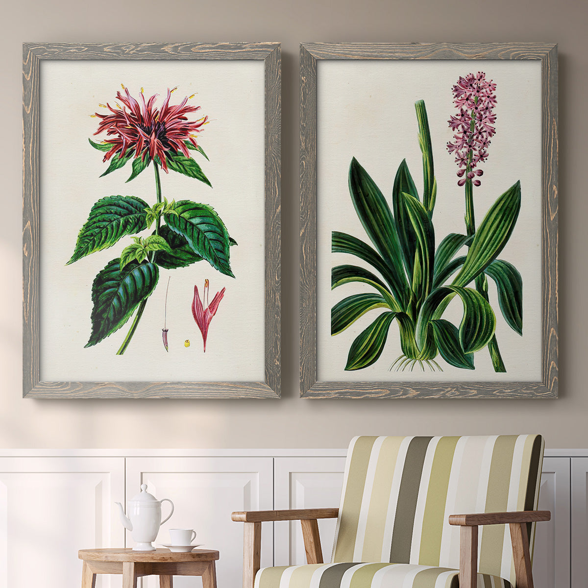 Set of two gray barnwood framed canvas prints depicting two antique botanical plate illustrations featuring colorful flowering plant specimens above a sideboard in a cozy sitting room.