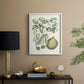 Buchoz Tropicals VIII - Restickable Framed Art Print