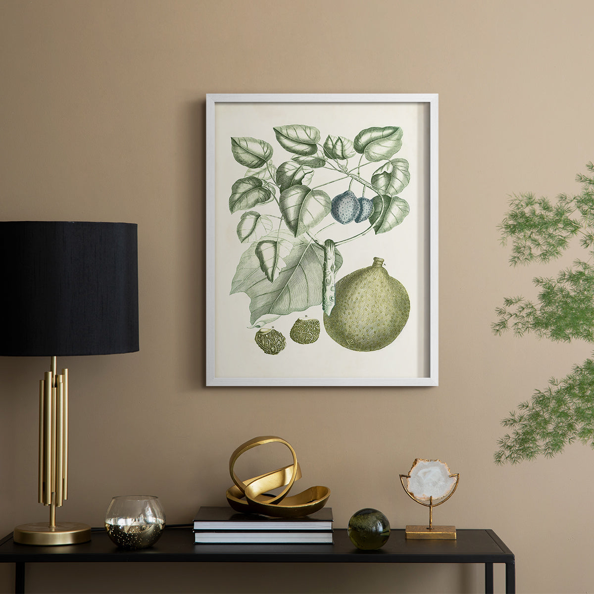 Buchoz Tropicals VIII - Restickable Framed Art Print