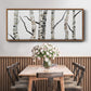 Birch Trees II - Floater Framed Canvas Print
