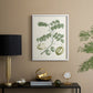 Buchoz Tropicals II - Restickable Framed Art Print