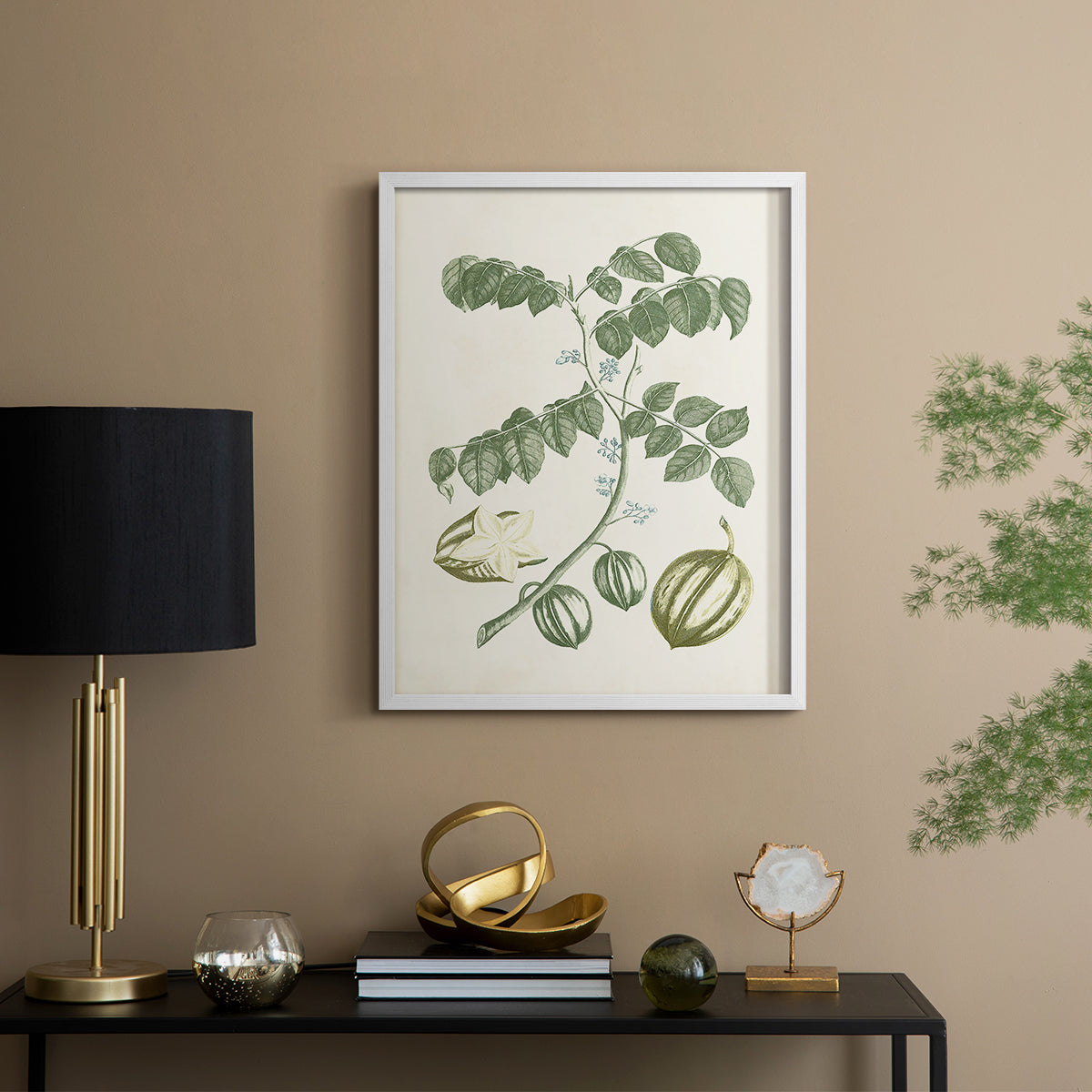Buchoz Tropicals II - Restickable Framed Art Print