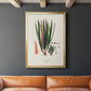 Botanical Society Ferns V - Modern Framed Canvas Print