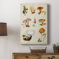 Mushroom Species VI - Canvas Art Print