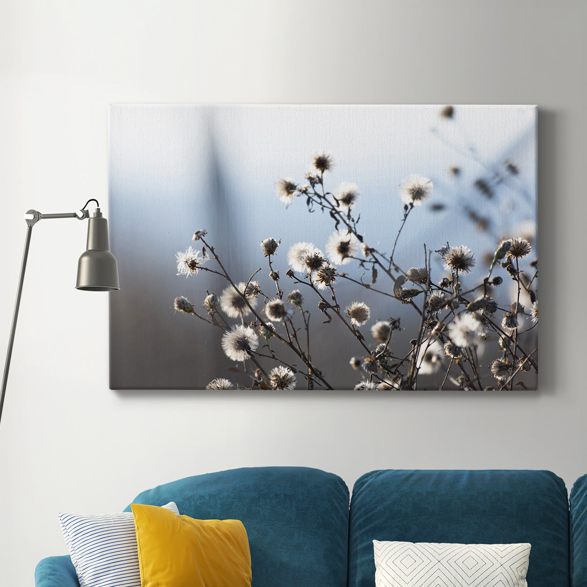 Spring Fluff - Canvas Art Print