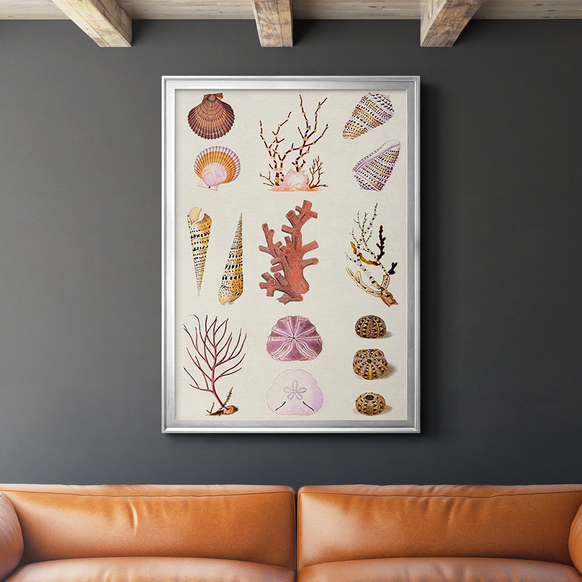 Coral & Shell Collage II -  Framed Canvas Print
