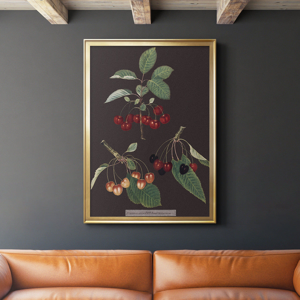 Brookshaw Cherries - Modern Framed Canvas Print