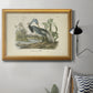 Audubons Louisiana Heron Premium Framed Canvas- Ready to Hang