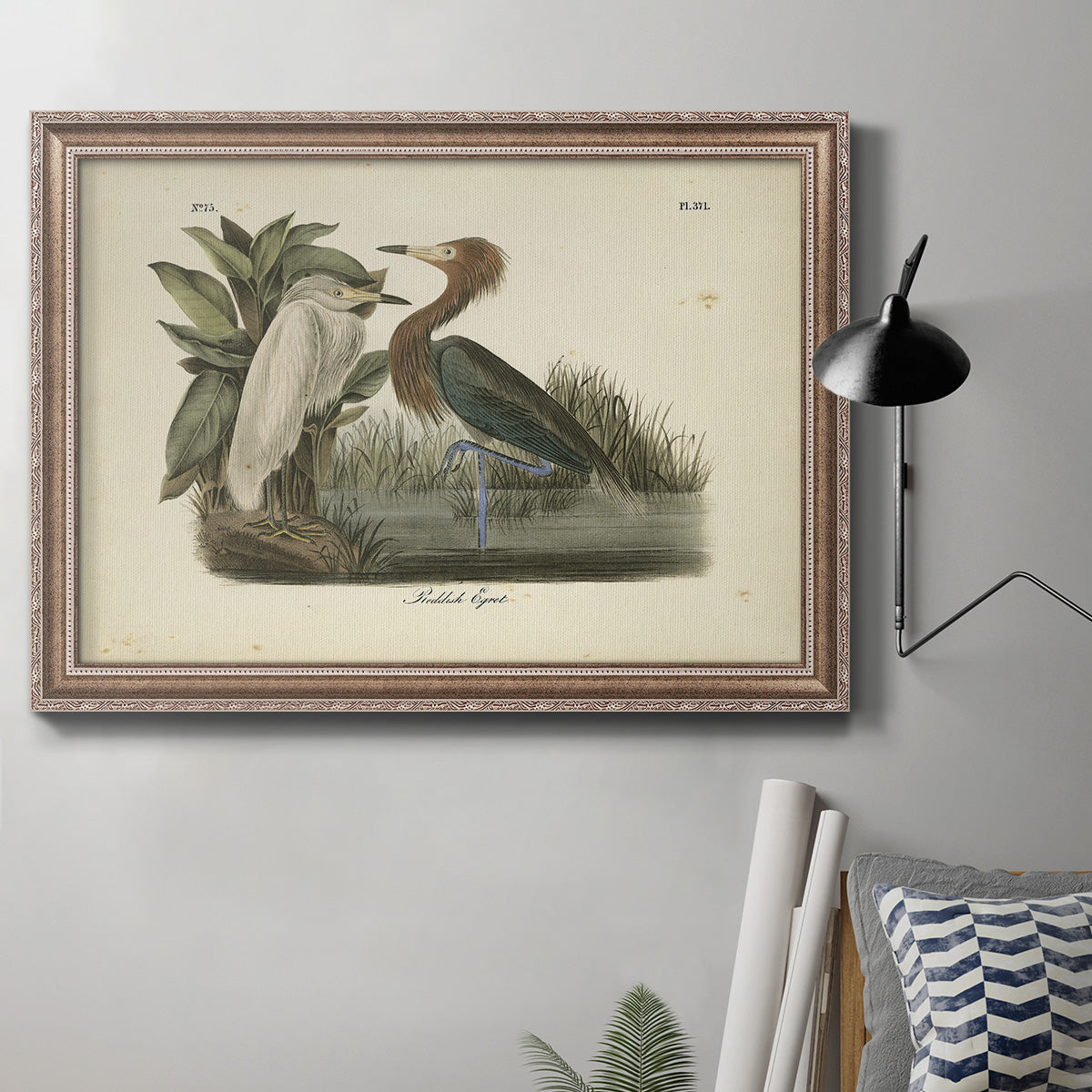 Audubons Reddish Egret Premium Framed Canvas- Ready to Hang