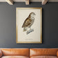 French Owls I - Modern Framed Canvas Print