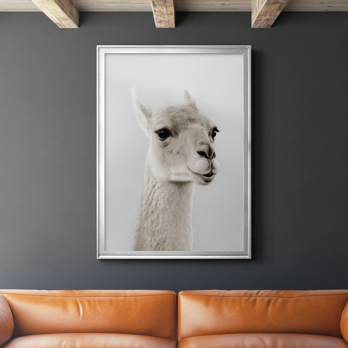 Soft Llama - Modern Framed Canvas Print