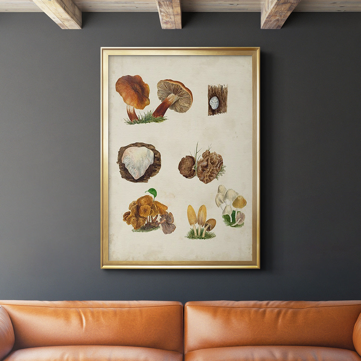 Mushroom Species I - Modern Framed Canvas Print