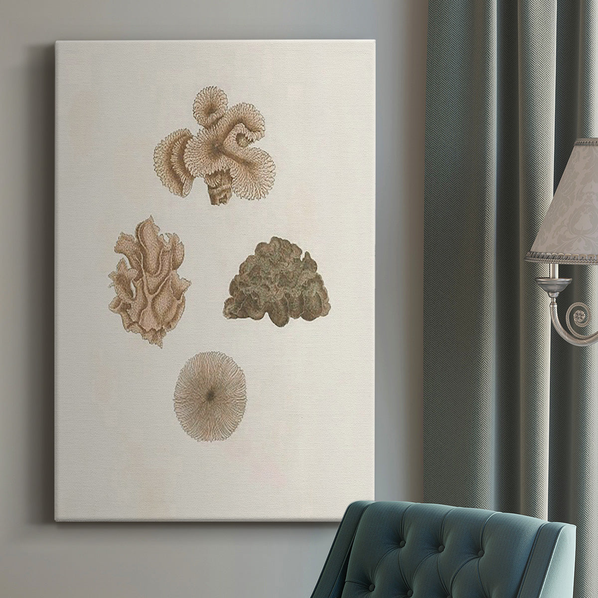 Knorr Shells & Coral VIII Premium Gallery Wrapped Canvas - Ready to Hang