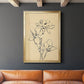 Magnolia Sketch II - Modern Framed Canvas Print