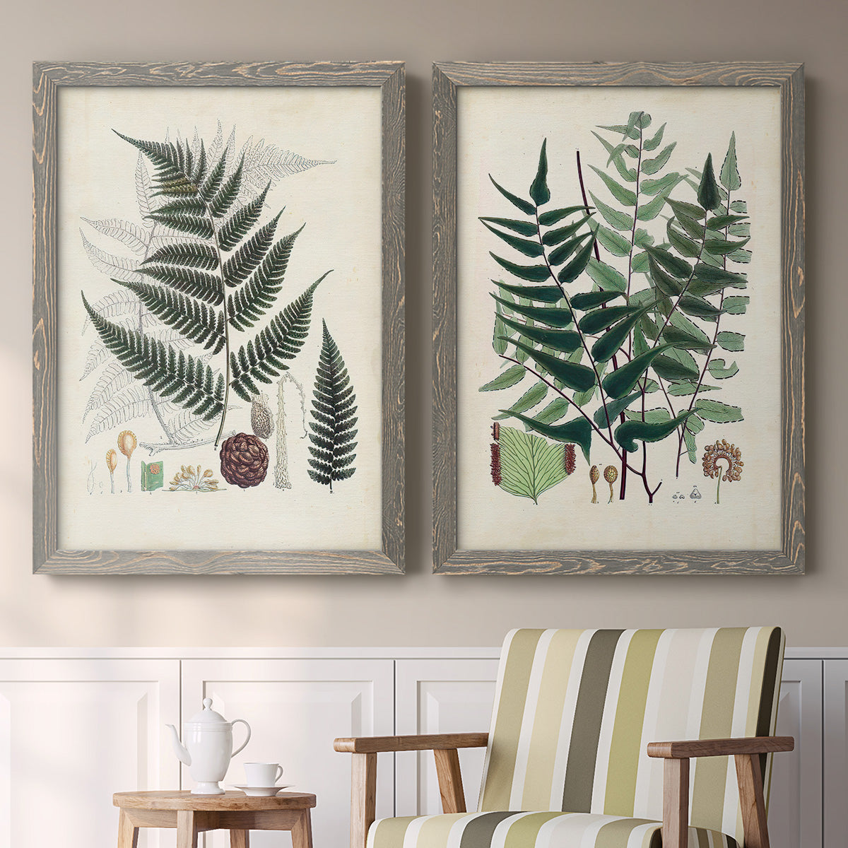 Set of two gray barnwood framed canvas prints depicting two natural-history fern plates featuring vintage fern specimens with botanical details above a sideboard in a cozy sitting room.