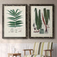 Set of two black barnwood framed canvas prints depicting two natural-history fern plates featuring vintage fern specimens with botanical details above a sideboard in a cozy sitting room.