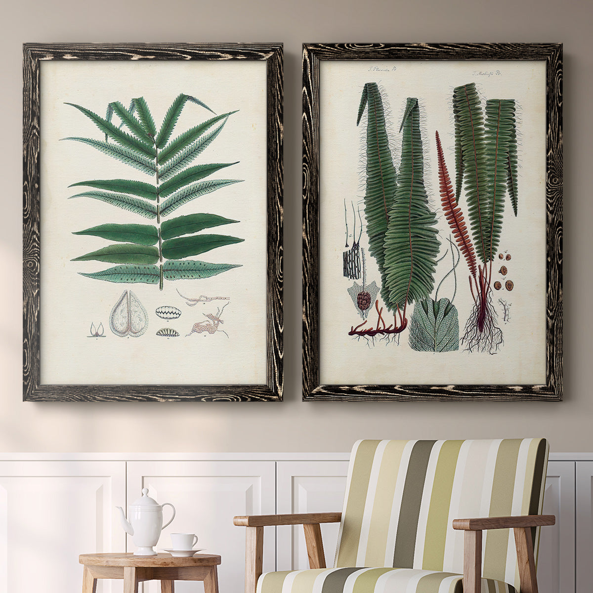 Set of two black barnwood framed canvas prints depicting two natural-history fern plates featuring vintage fern specimens with botanical details above a sideboard in a cozy sitting room.