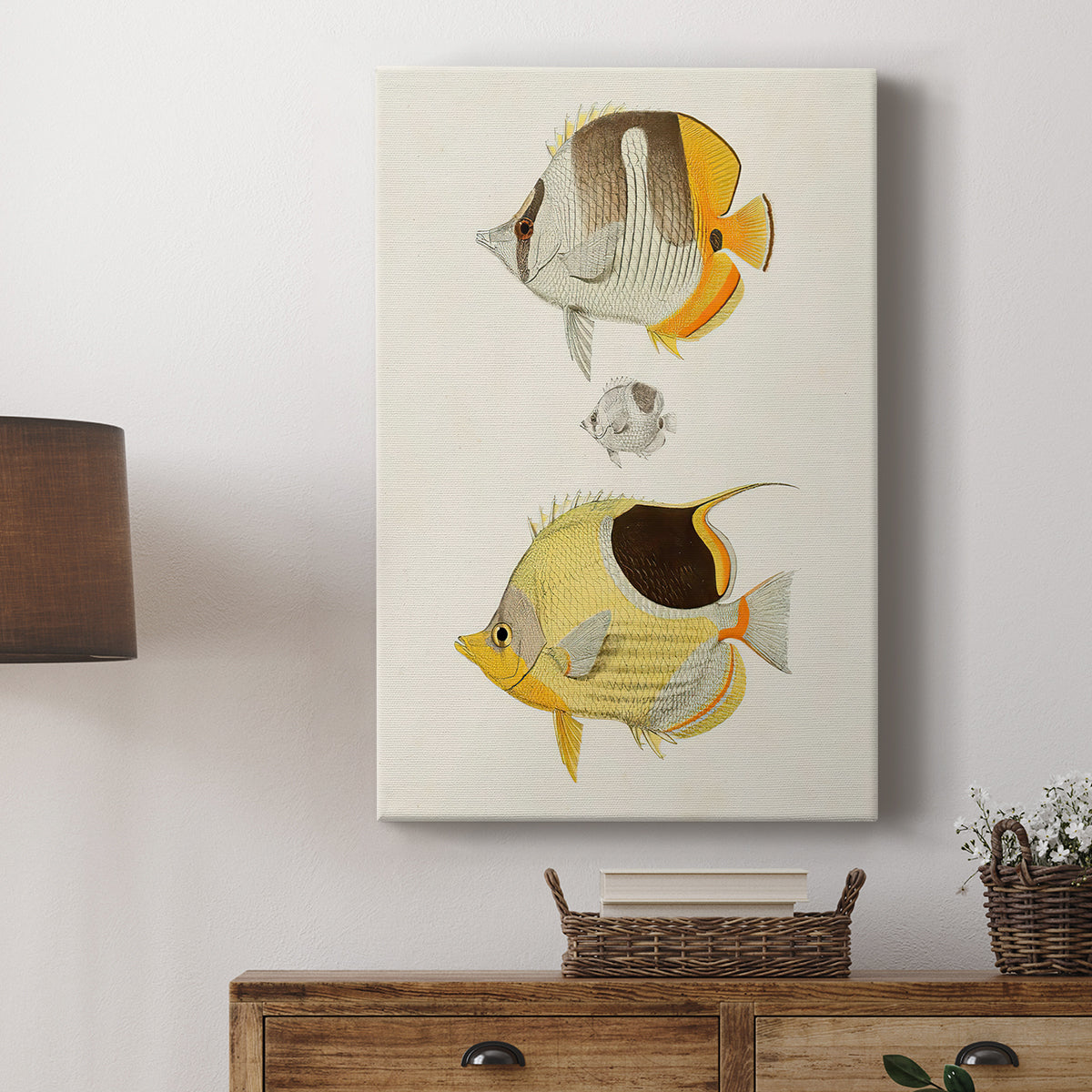 Yellow & Grey Fish II - Canvas Art Print
