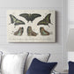 Crackled Butterflies II - Canvas Art Print