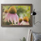 Echinacea Study II Premium Framed Canvas- Ready to Hang