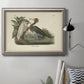 Bloch Antique Fish I Premium Framed Canvas- Ready to Hang